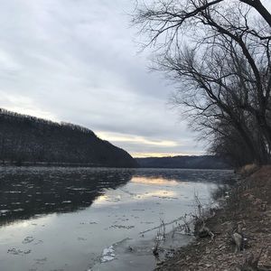 Meet your Posher, Dylan